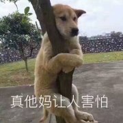 不代入角色说话,可能是很多人不具备的能力-廖秦的小屋